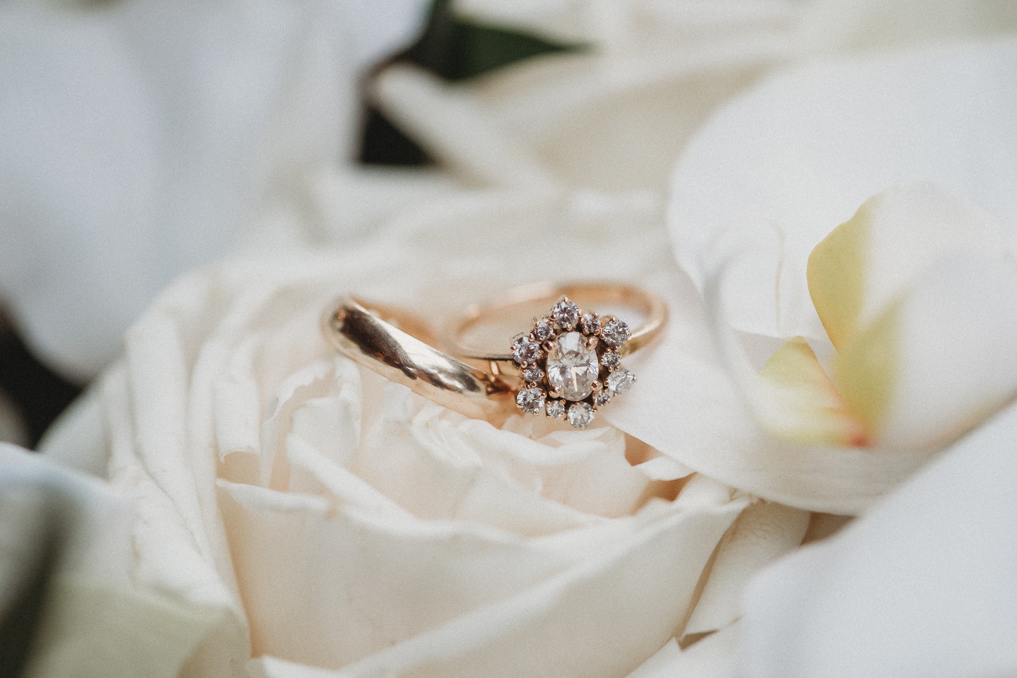 Elegant Wedding, Bowing Oaks Wedding Venue, Jacksonville, Florida, Florida Wedding Photographer