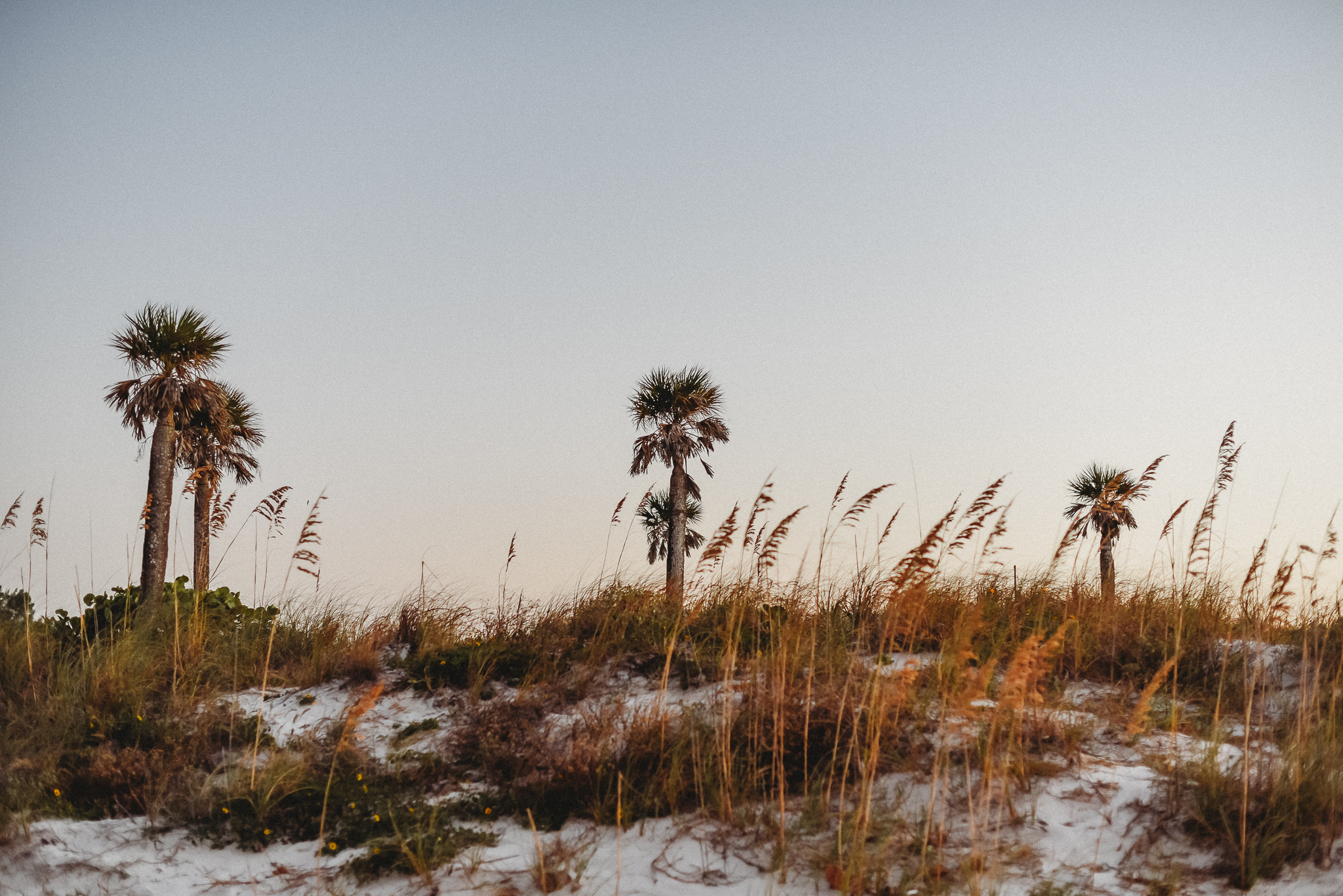 Madeira Beach Senior Photography | Caleo Photographer | Florida Senior Photographer | Tampa Senior Photographer