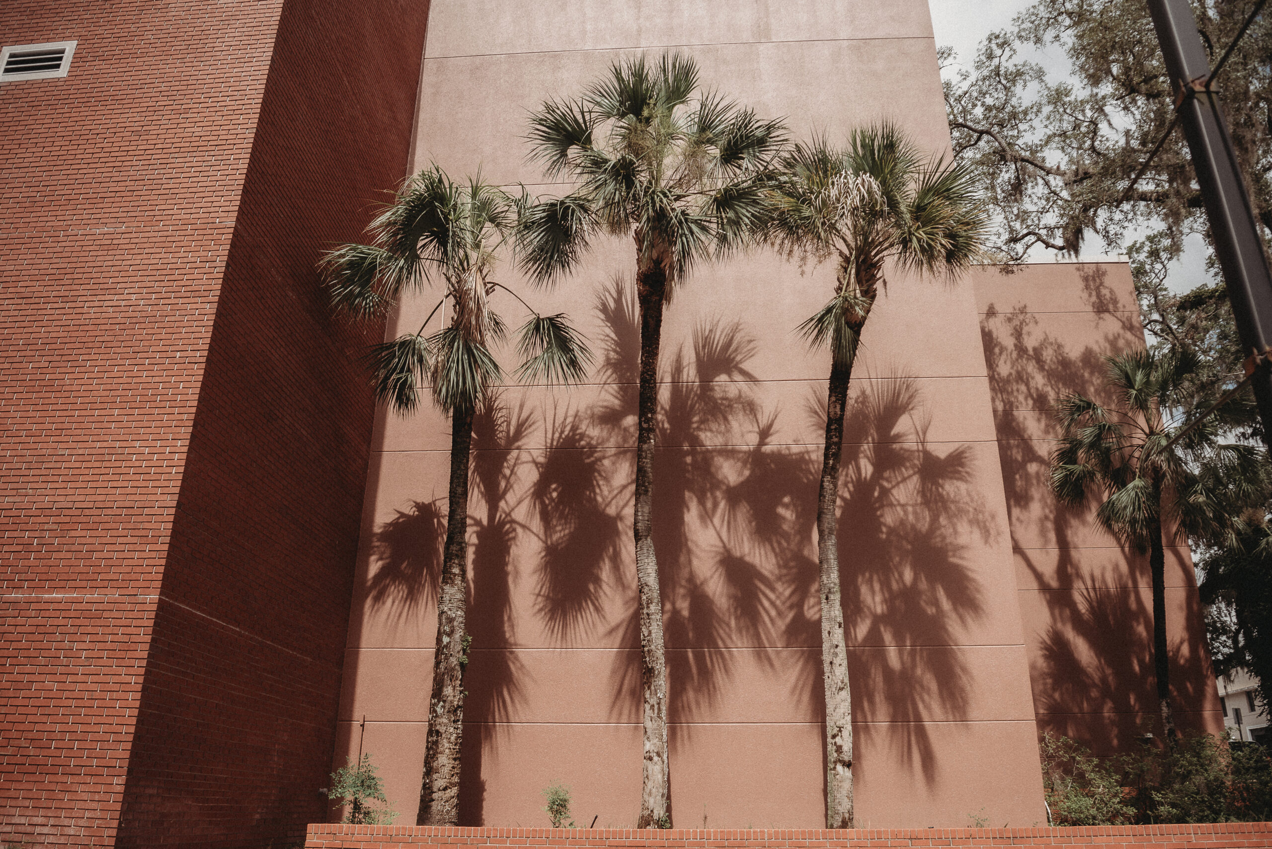 Intimate courthouse wedding ceremony in Brooksville Florida