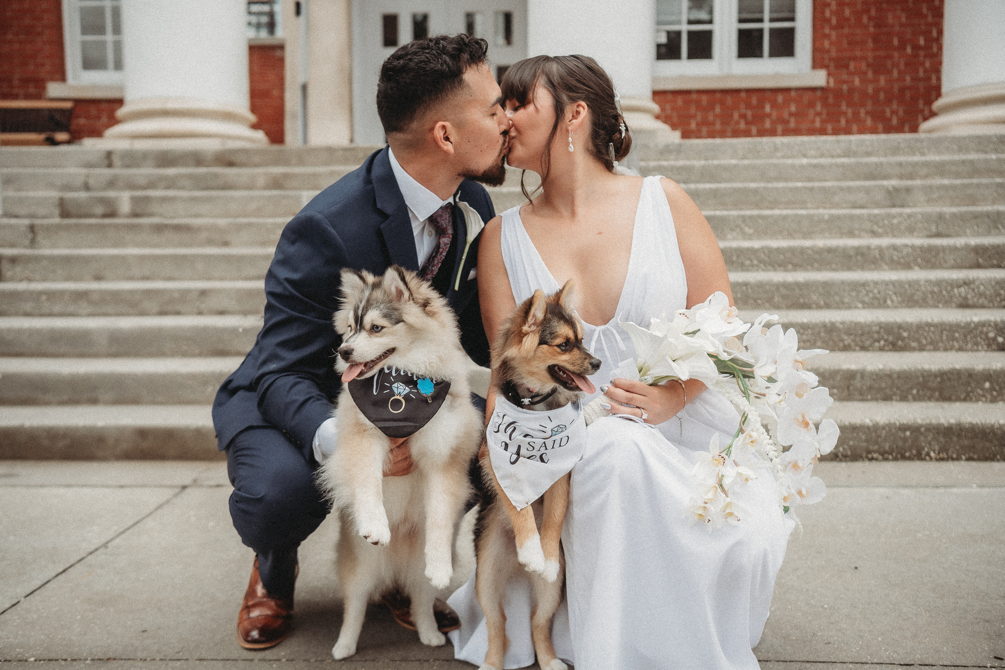 Bride and groom with their dogs at Brooksville courthouse wedding