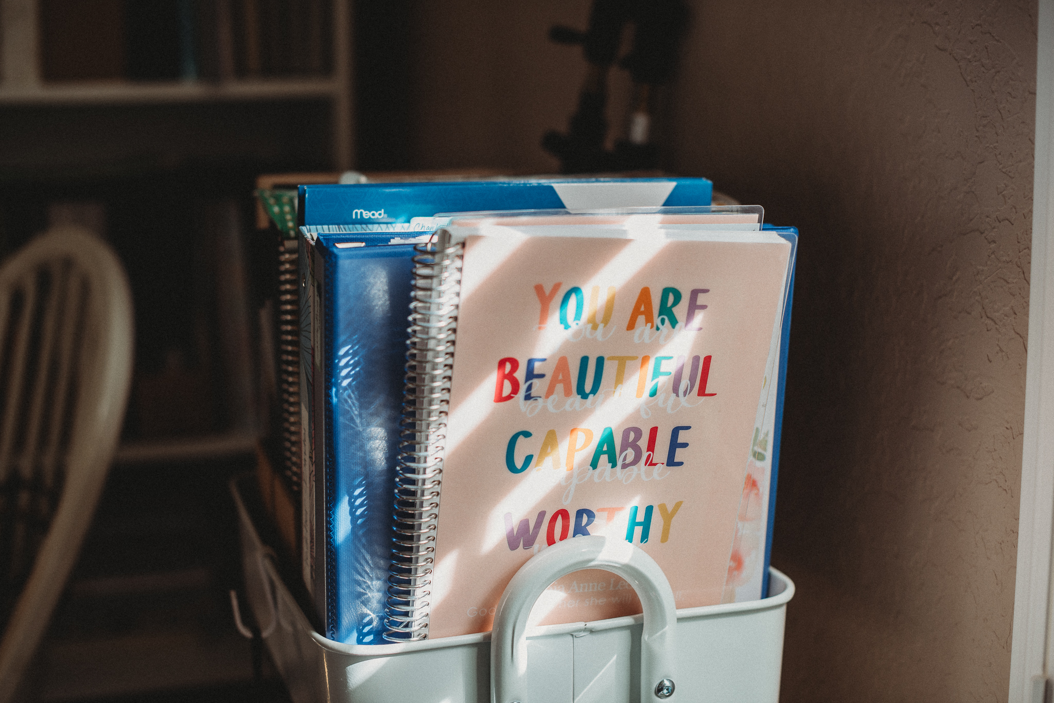 Homeschool curriculum books stacked on wooden table in soft light. Beginner homeschool tips.
