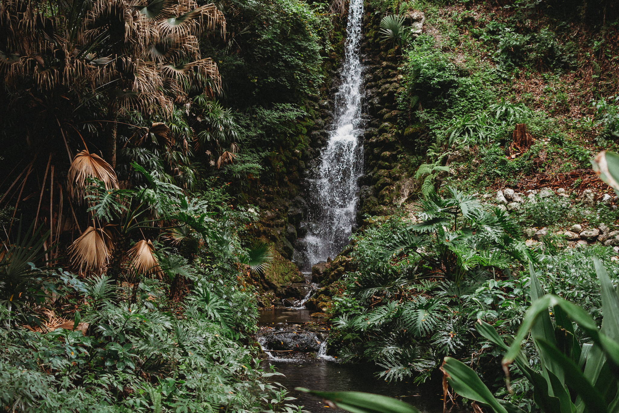 Rainbow Springs State Park waterfalls in Dunnellon Florida surrounded by lush greenery