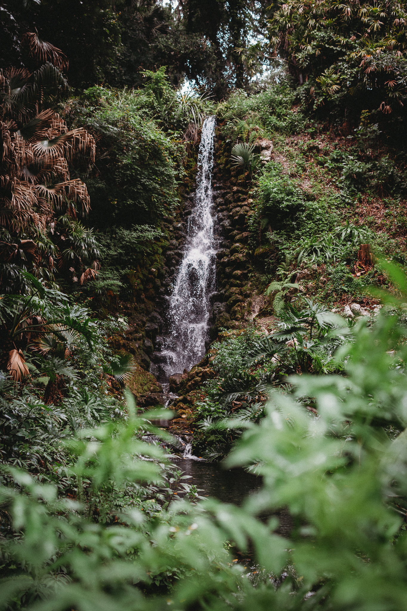 Cascading waterfalls at Rainbow Springs State Park perfect for photo sessions