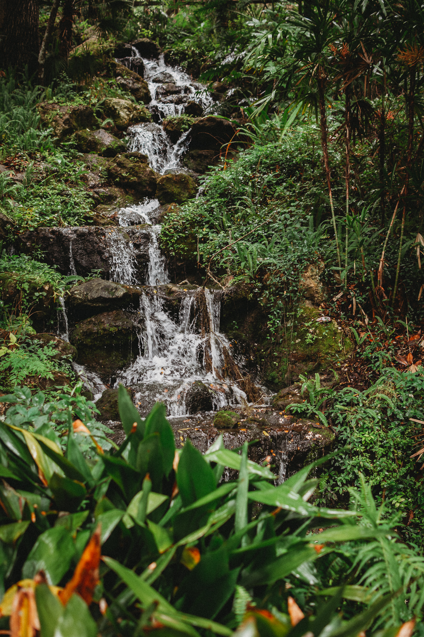 Cascading waterfalls at Rainbow Springs State Park perfect for photo sessions